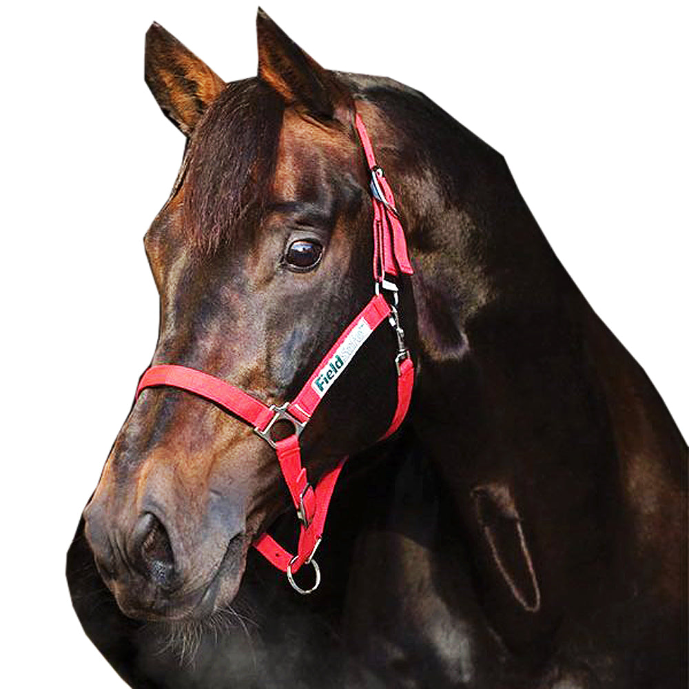 Cob Size Horseware Field Safe Headcollar Halter Red