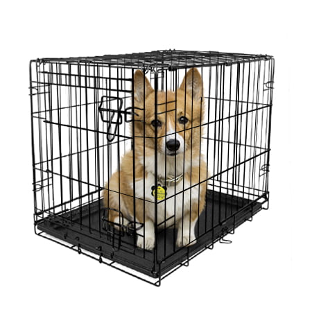 Vibrant Life， Single-Door Folding Dog Crate with Divider， Medium， 30