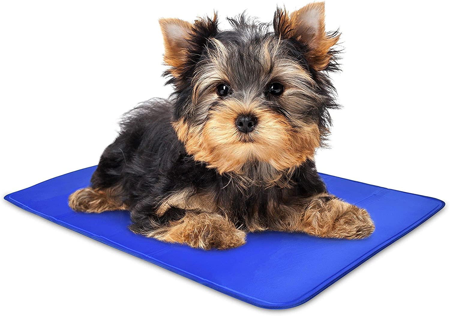 Arf Pets， Dog Cooling Mat ，Cats and Small Animals， Mat Pad For Kennels and Beds