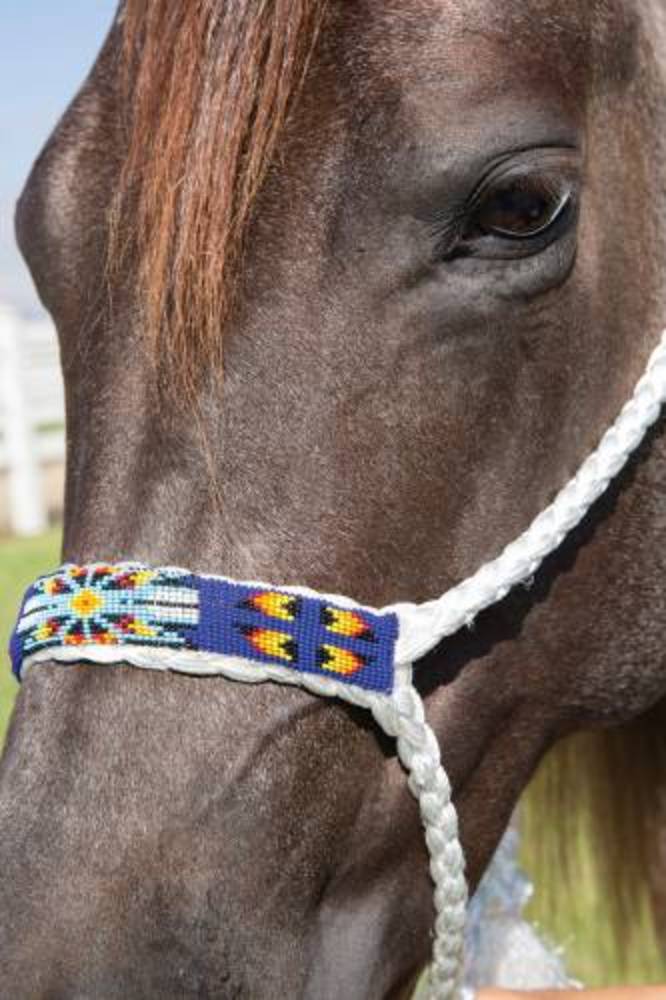 Professional`S Choice  Cowboy Braided and Beaded Halter with a 10 Lead