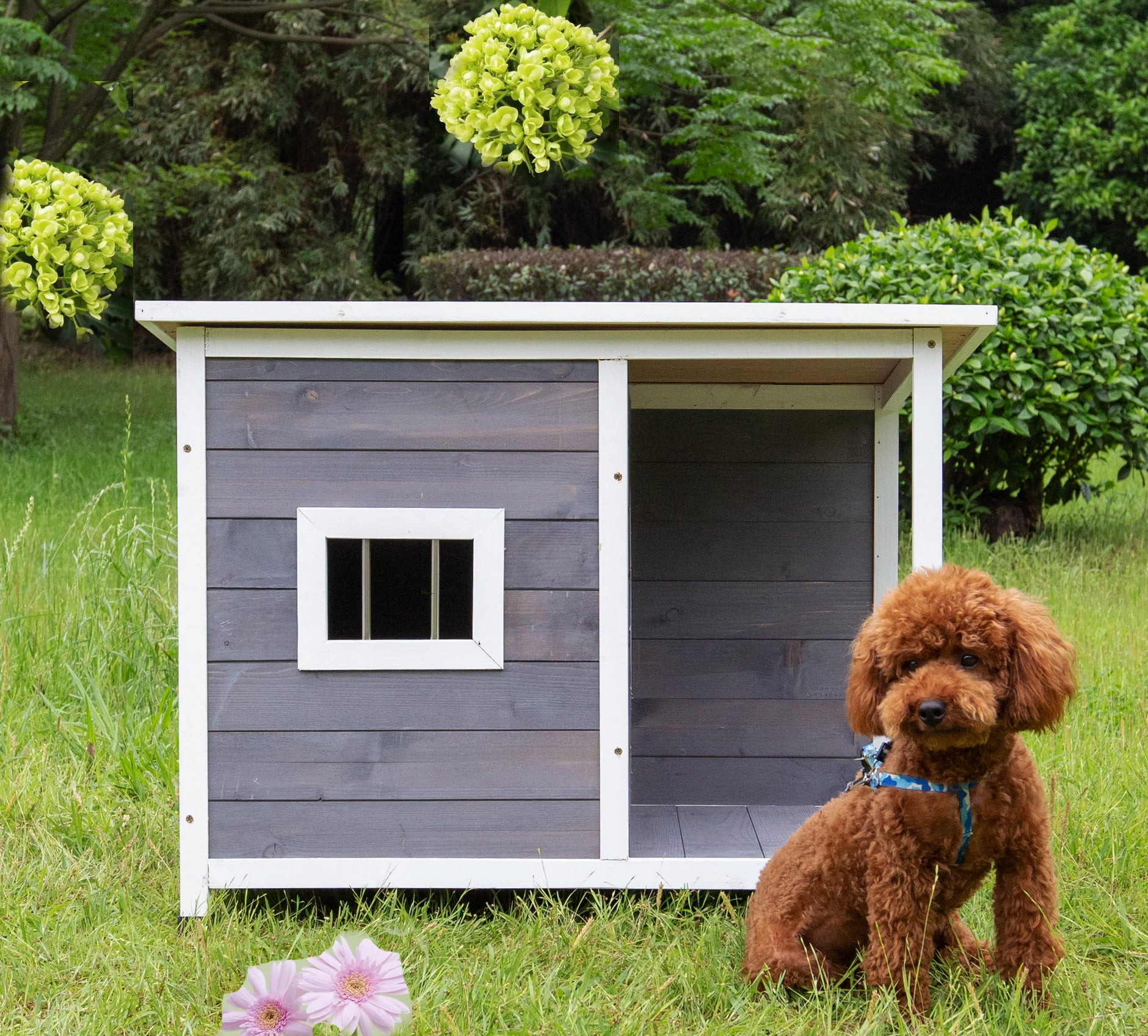 Wooden medium-sized outdoor kennel， waterproof with porch deck， gray and fashionable wooden Kennel