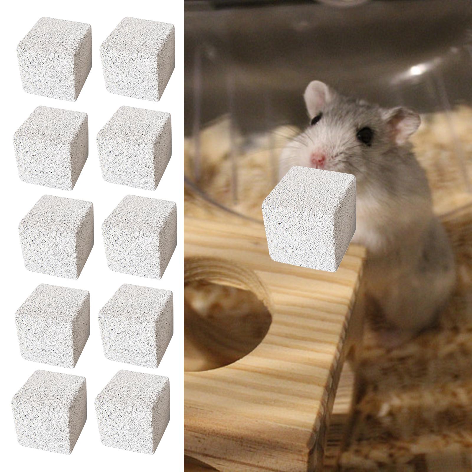 Set of 10 Stone Square Hamster Grinding Pet Supplies Grinding Chewing Toy Rodent Play Indoor Pet Playing Chew Toy Rat 3cm