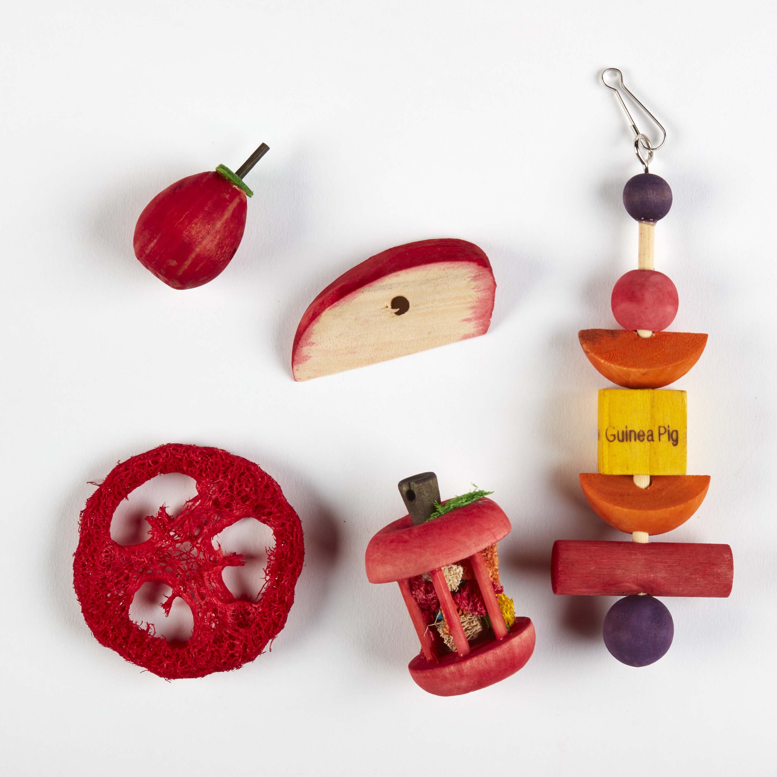 Kaytee Chew and Treat Toy Box Guinea Pig