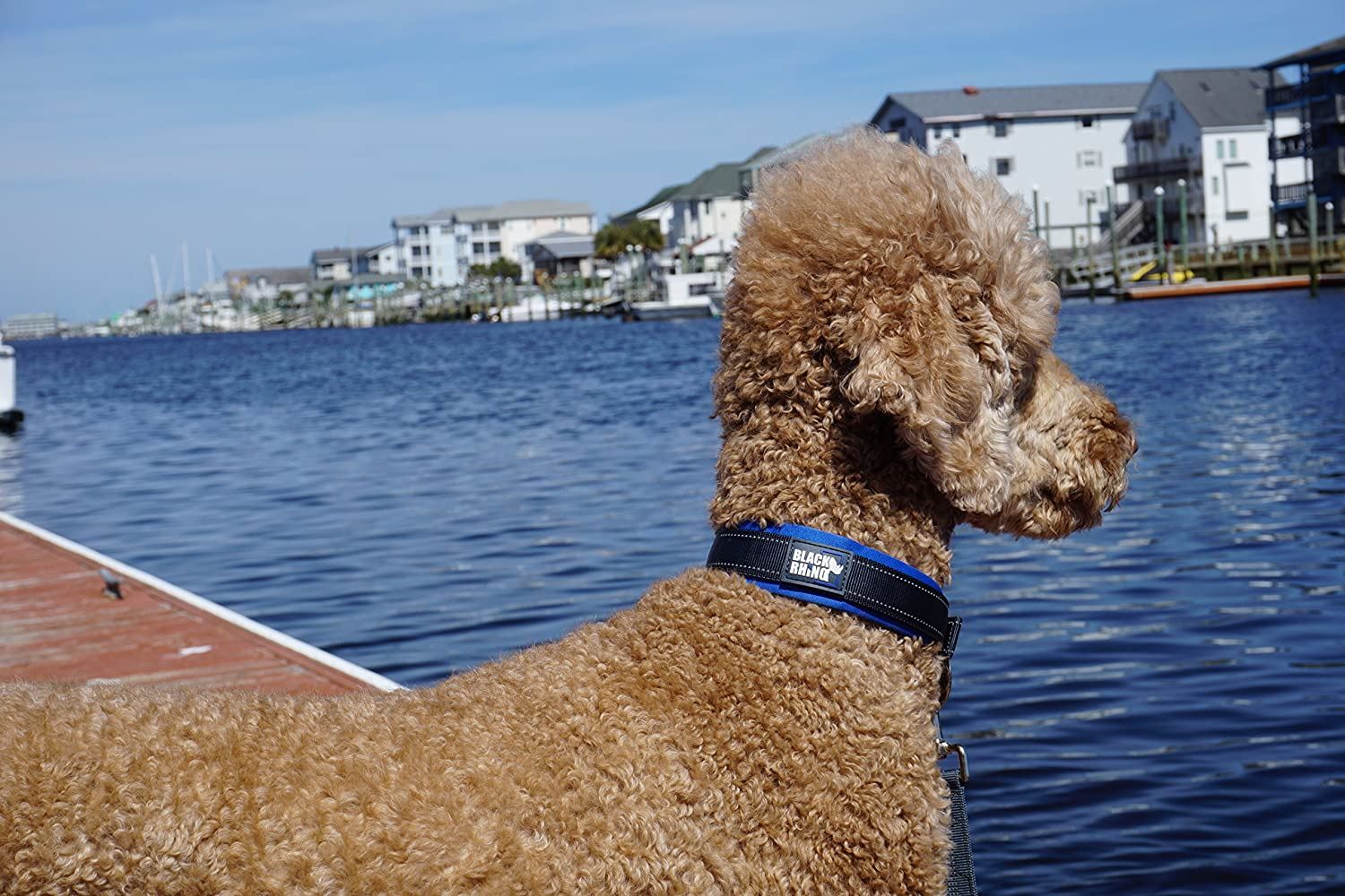 Black Rhino - The Comfort Collar Ultra Soft Neoprene Padded Dog Collar for All Breeds - Heavy Duty Adjustable Reflective Weatherproof (Large， Blue/Grey)