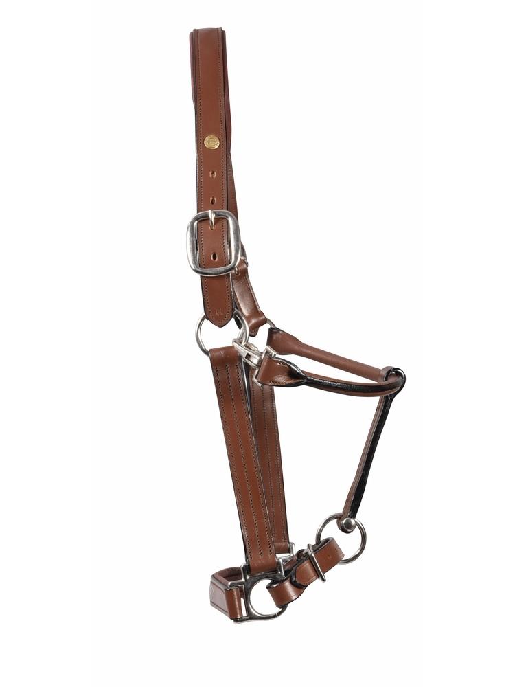 Henri De Rivel Pro Fancy Padded Rolled Throat Triple Stitched Halter