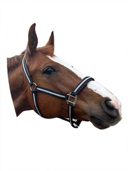 Comfort Padded Halter with Snap Pony Blue