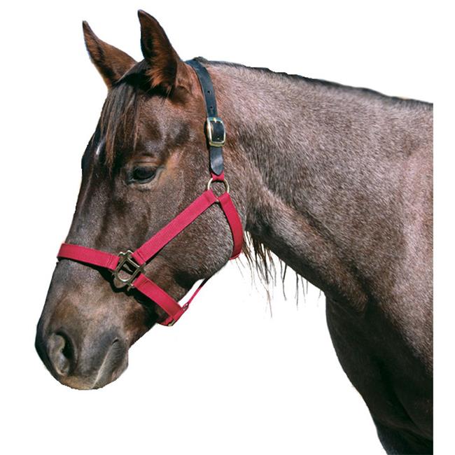 Intrepid International 123049 Poly Breakaway Horse Halter Yearling - Purple
