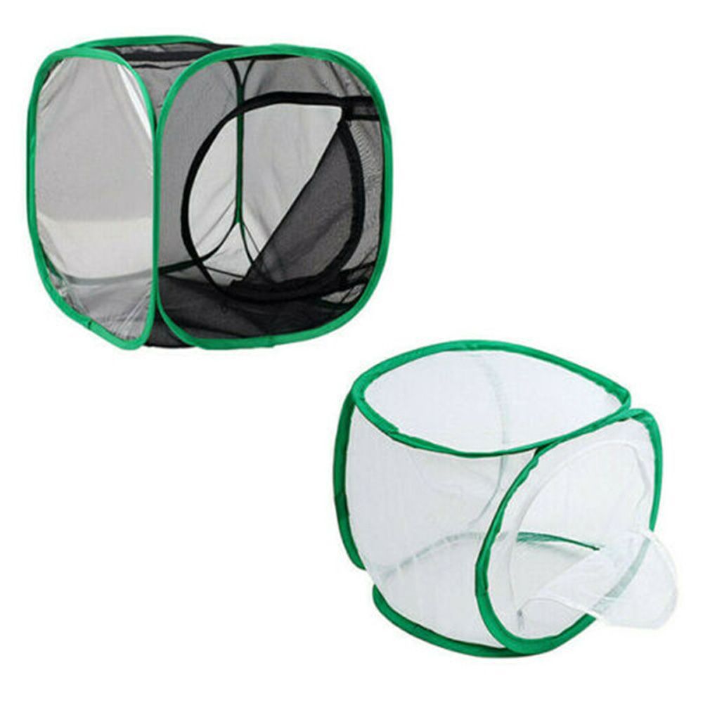 Portable Proof Ant Pet Supplies Seedling Housing Enclosure Incubator Mantis Butterfly Box Mesh Cage Insect Cage Habitat Cage WHITE 40 X 40 X 60