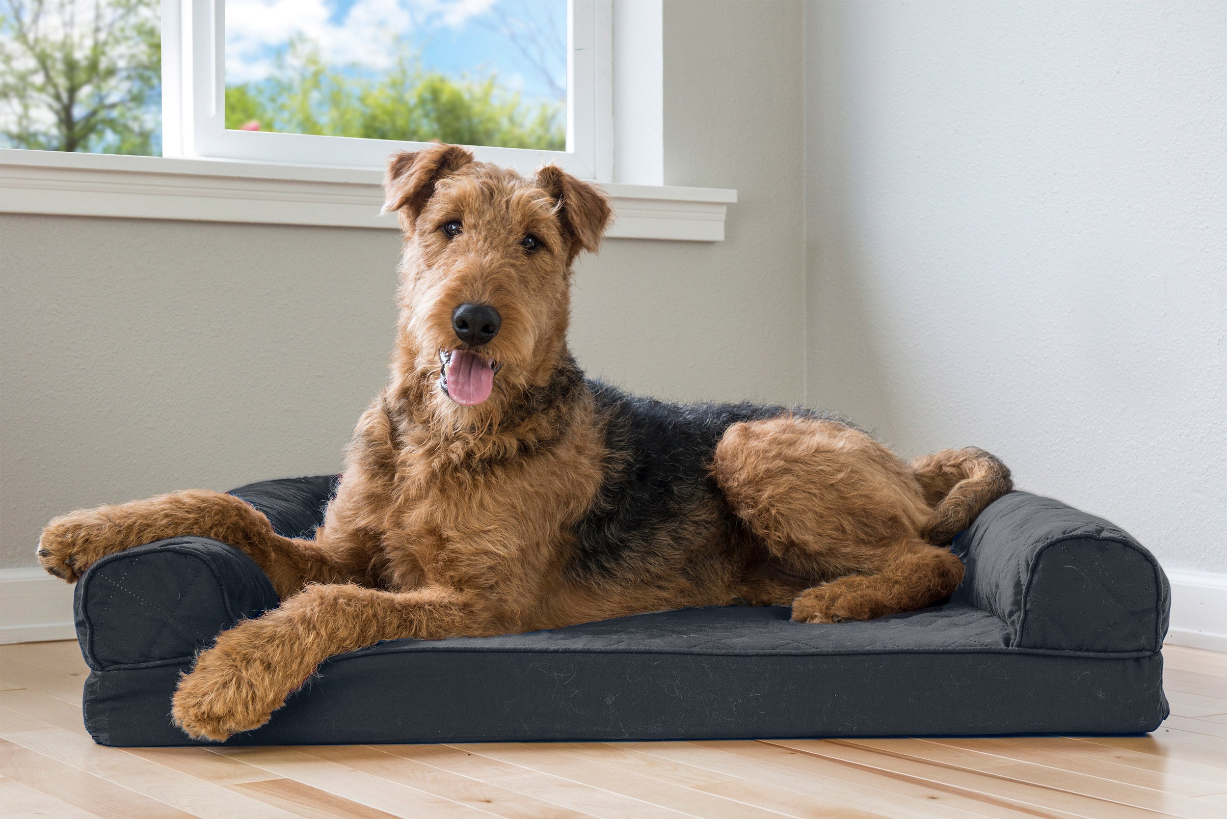 FurHaven Pet Products | Memory Foam Quilted Sofa Pet Bed for Dogs and Cats - Iron Gray， Large