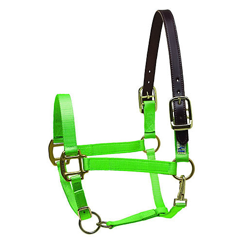 Perris Premium Nylon Safety Halter Cob Lime