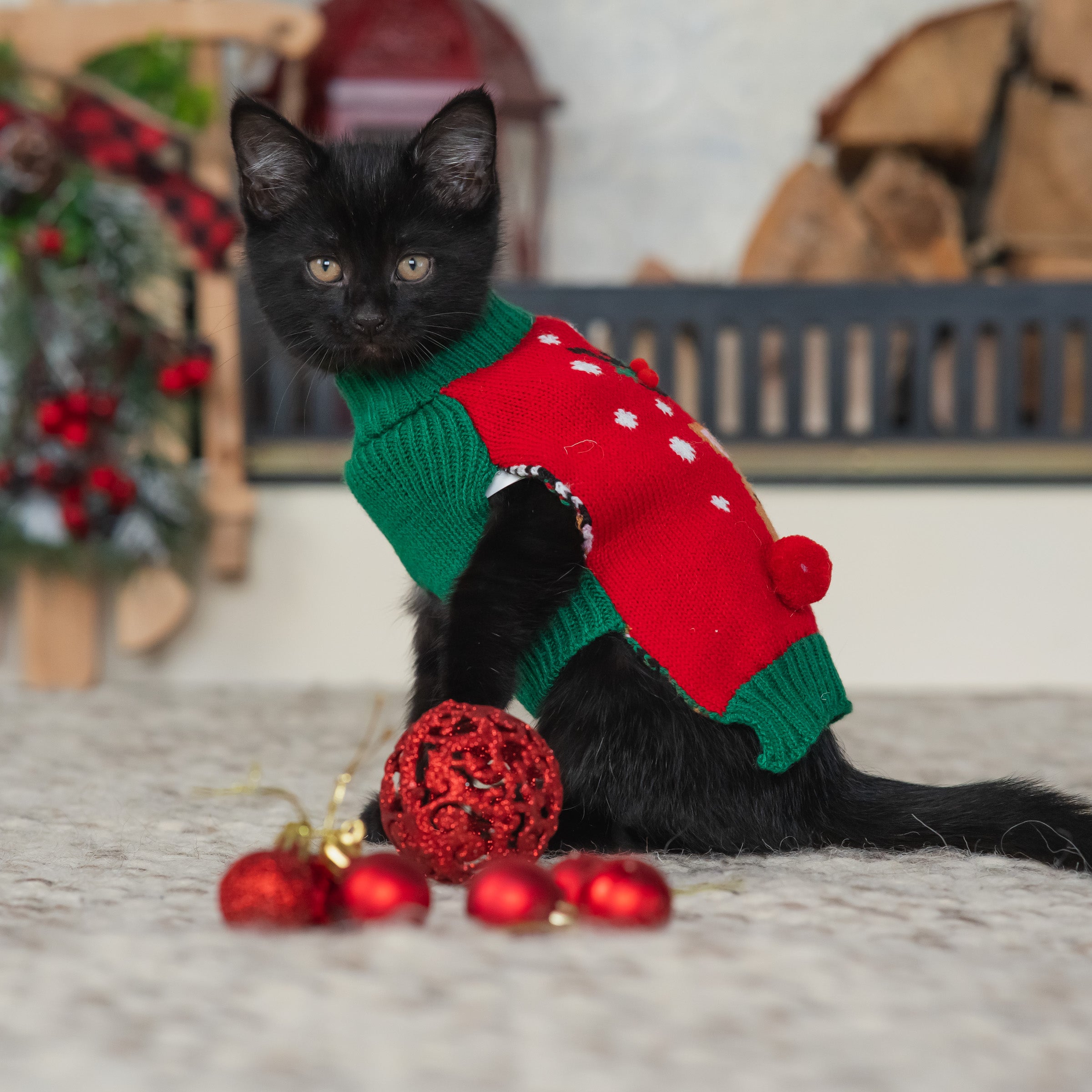 Vibrant Life， Holiday Dog Clothes， Reindeer Dog or Cat Sweater， Red XXS