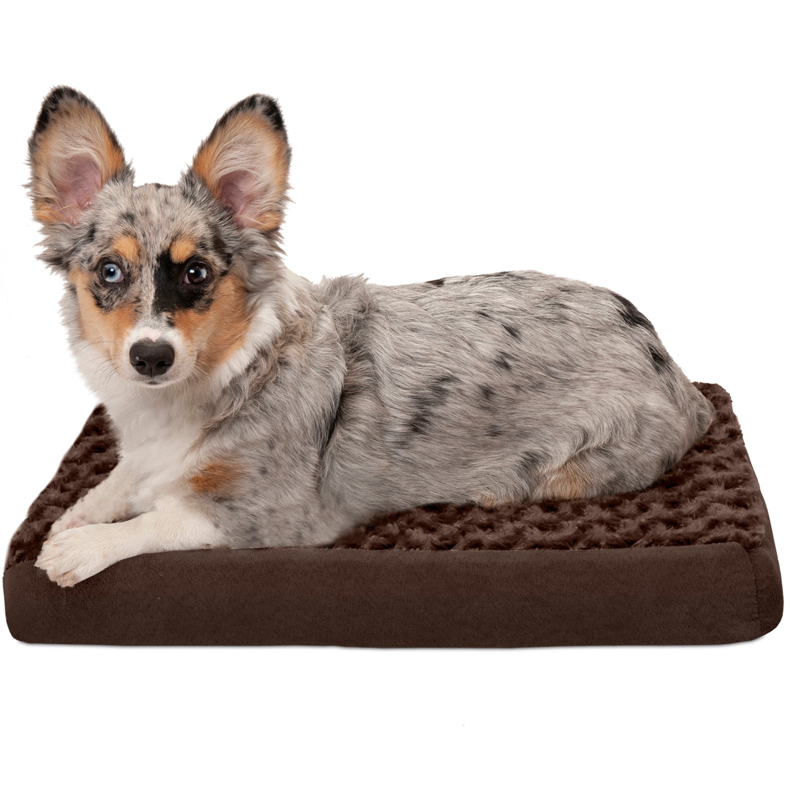 FurHaven Pet Products | Deluxe Cooling Gel Memory Foam Orthopedic Ultra Plush Mattress Pet Bed for Dogs and Cats， Chocolate， Small