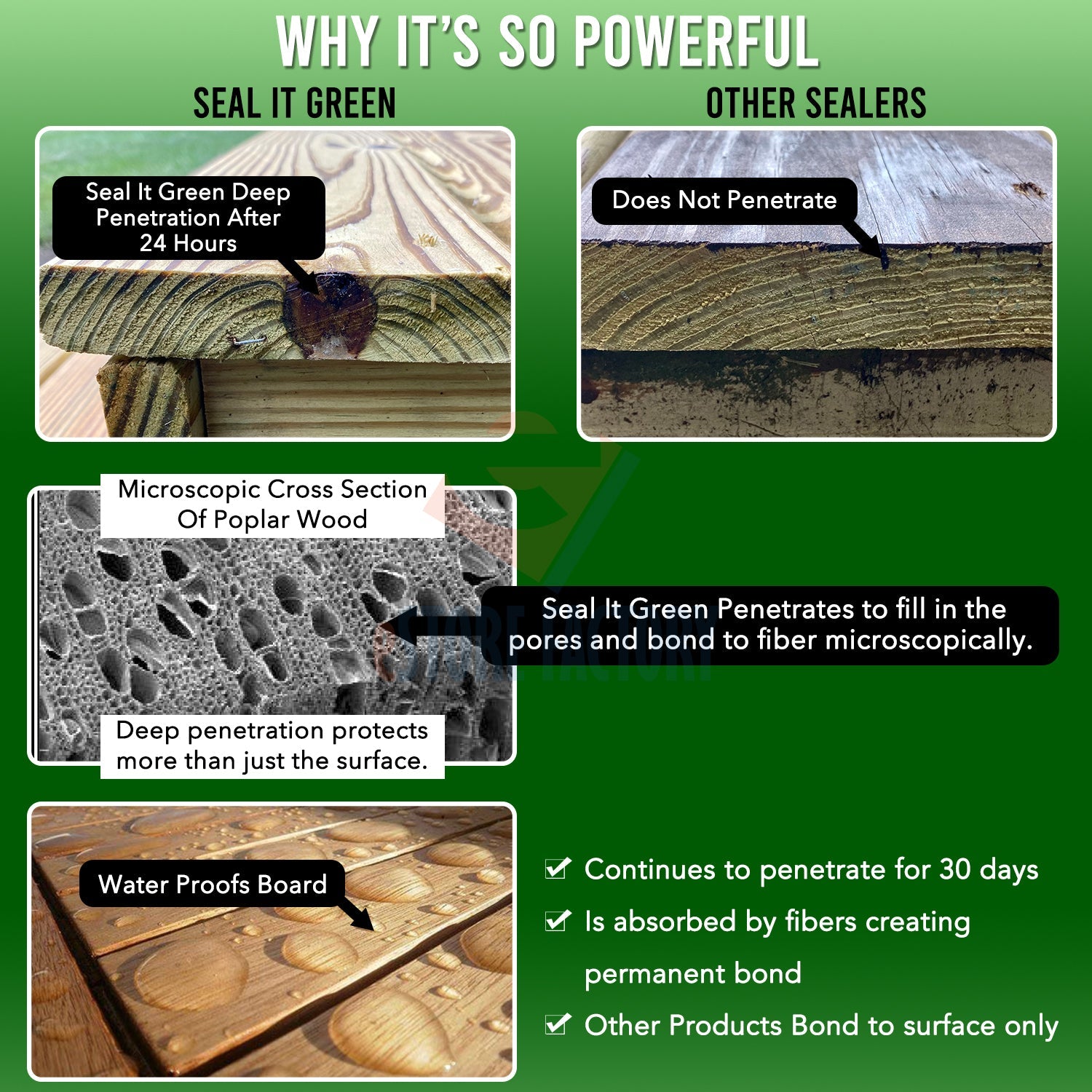 Seal It Green Garden Box Sealer-Plant Based, Non-Toxic & Non-Leaching Garden Bed Wood Sealer. Helps Protect Cedar & All Wood Types Used for Raised Bed Gardens. (1 Gallon Kit)