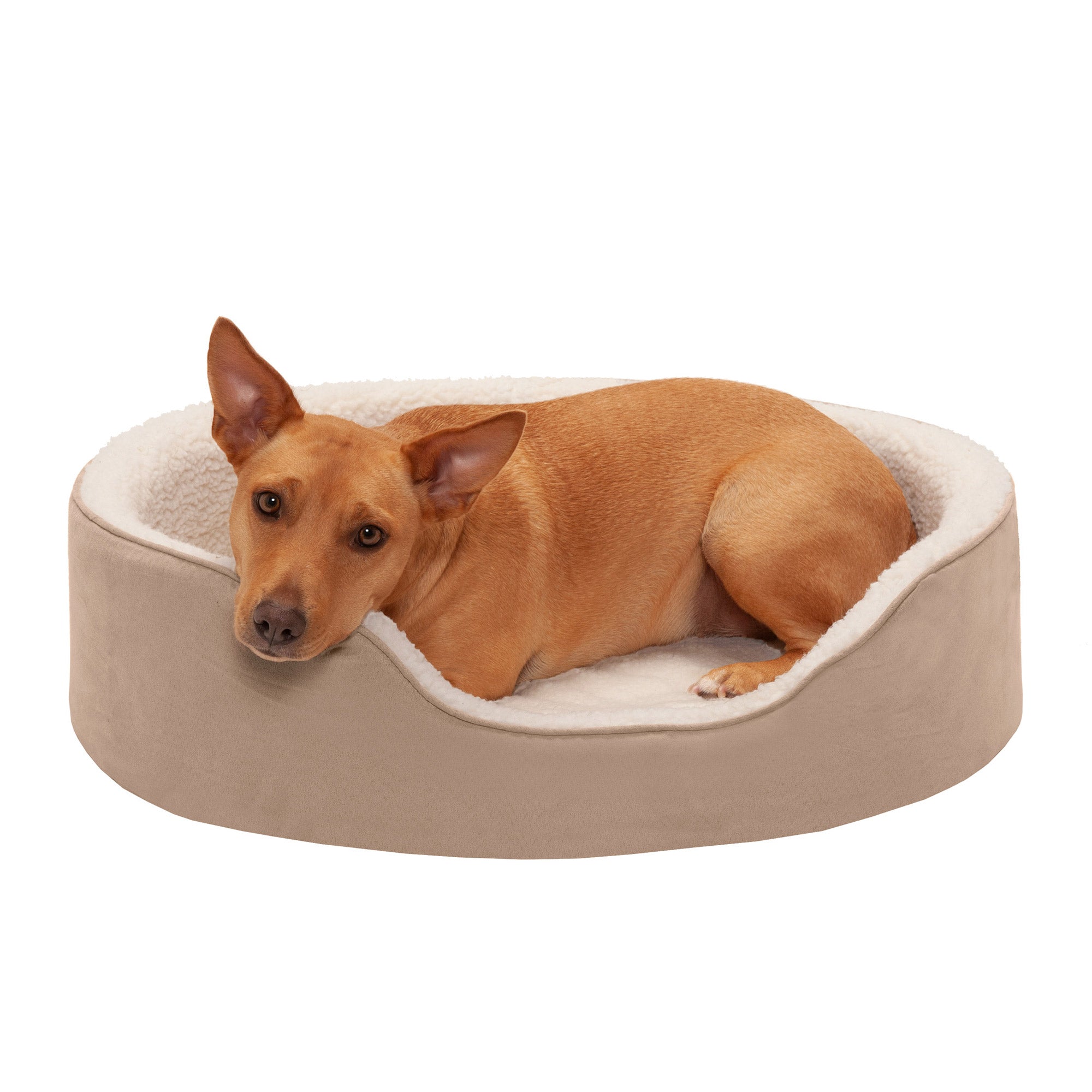 FurHaven | Orthopedic Faux Sheepskin and Suede Oval Pet Bed for Dogs and Cats， Clay， Large