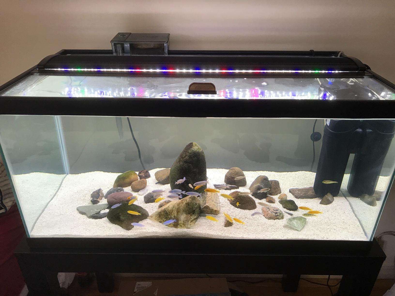 AquaBasik Full Spectrum LED Aquarium Fish Tank Lighting 30-41in 129