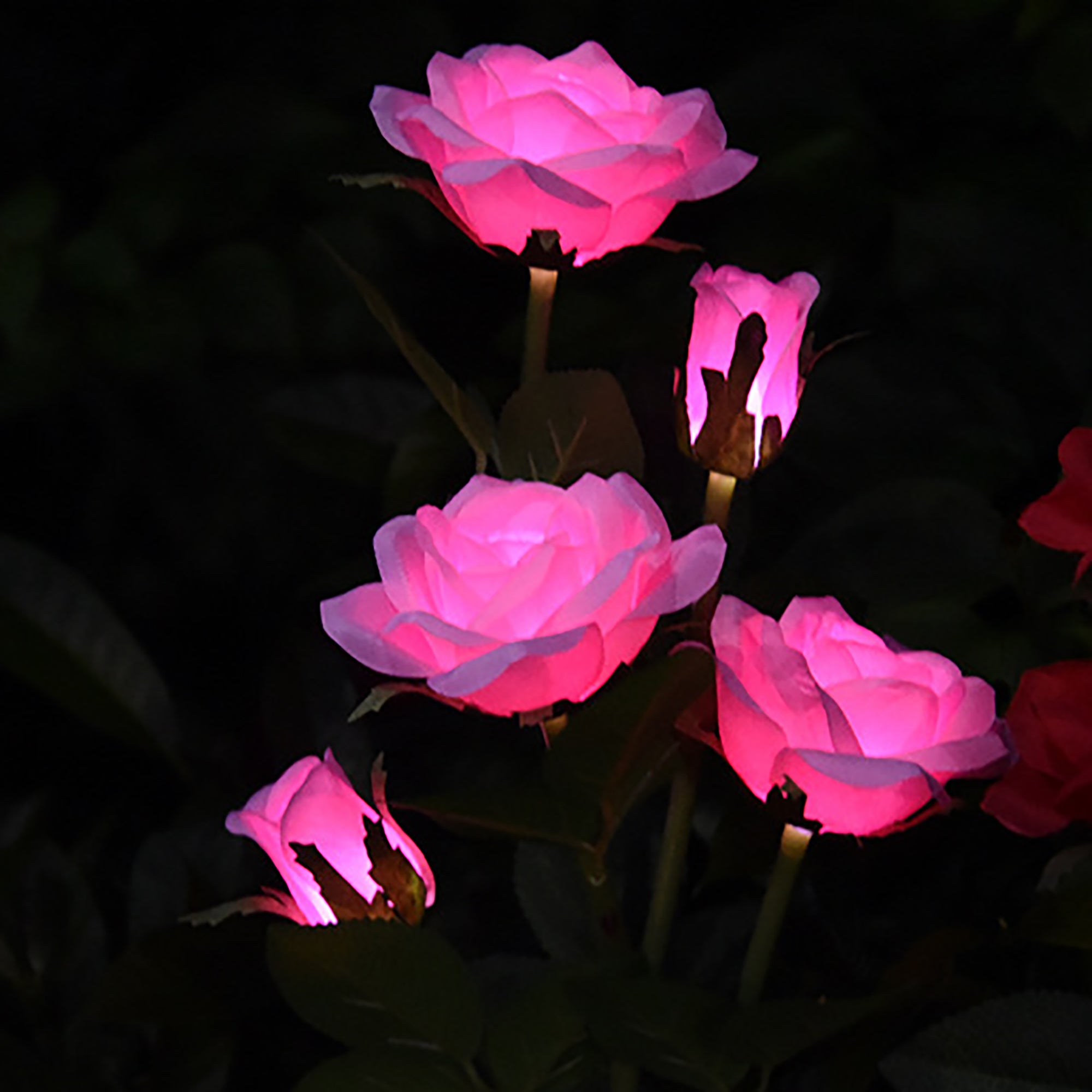 Binpure Solar-Powered Light Rose Flower Field Cutting Park Home Lamp