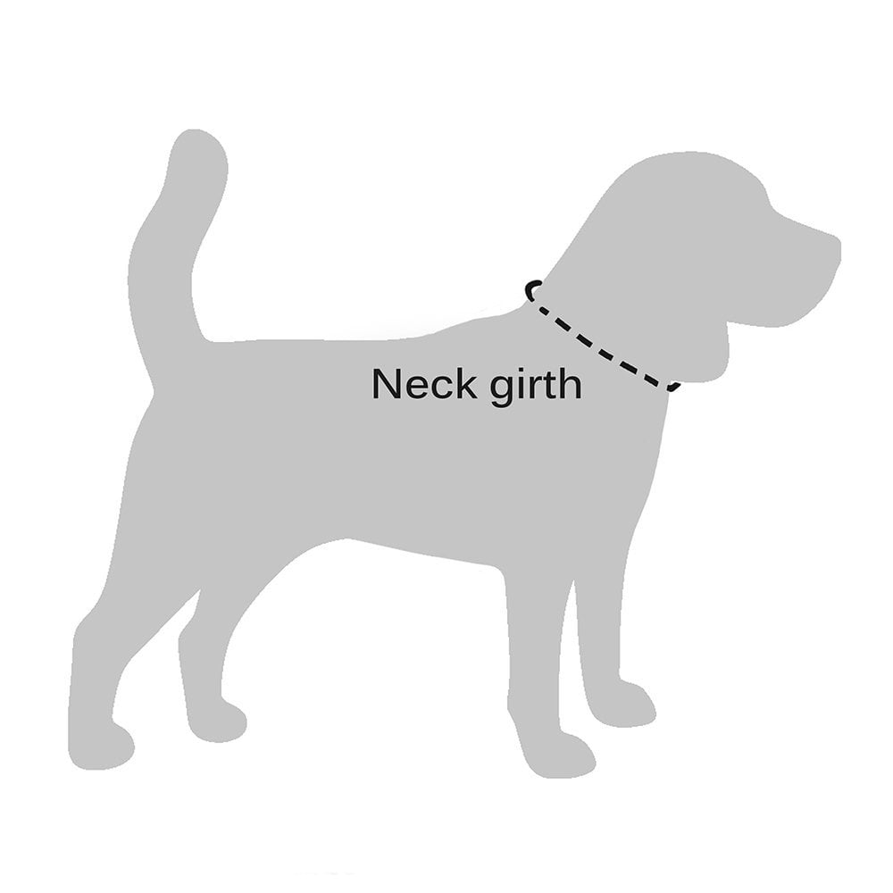 Leather Dog Collar Puppy Collars for Medium Dogs Soft Padded， Black