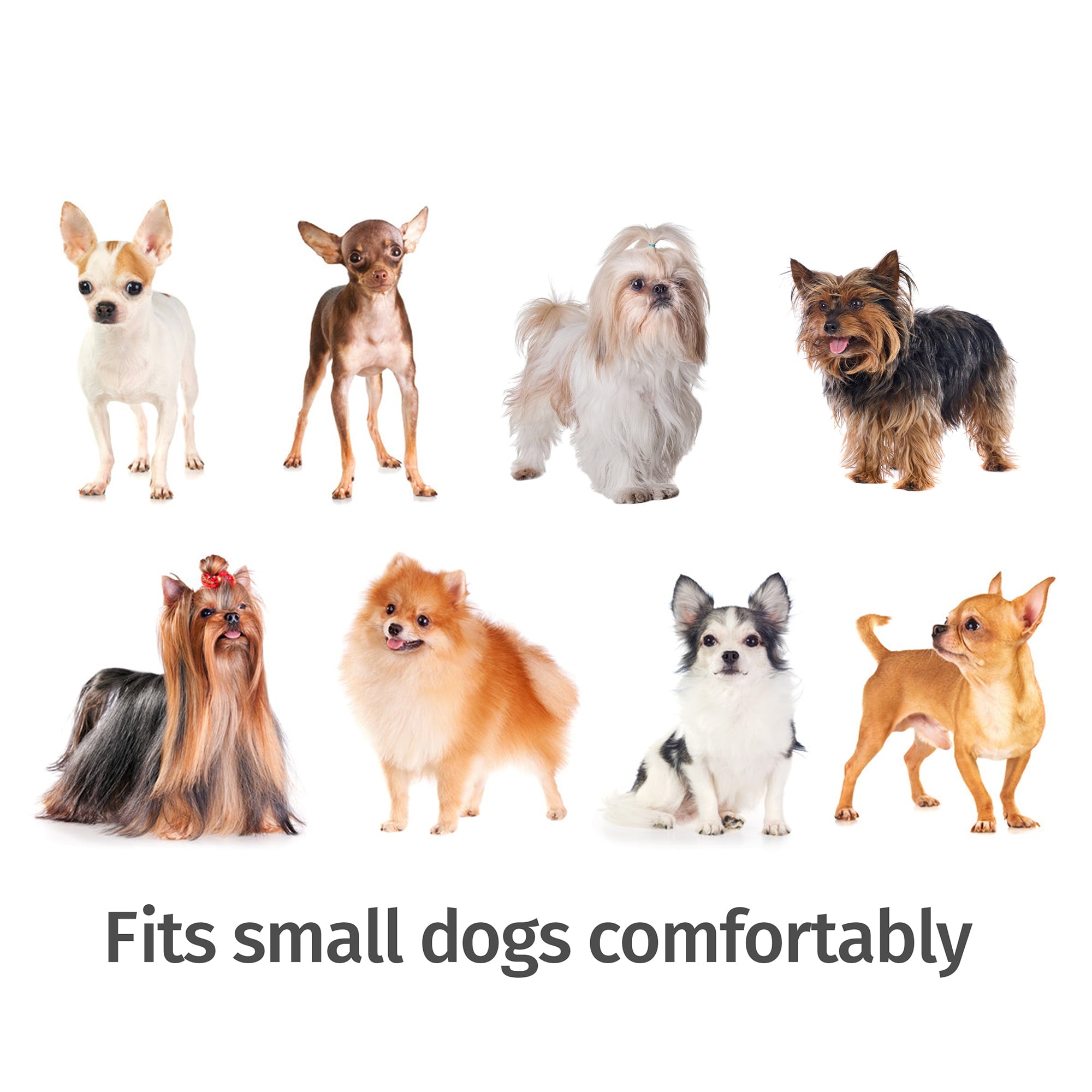 Lucky Dog Single-Door Chain Link Heavy Duty Outdoor Kennel， Silver， 5'L x 5'W x 4'H