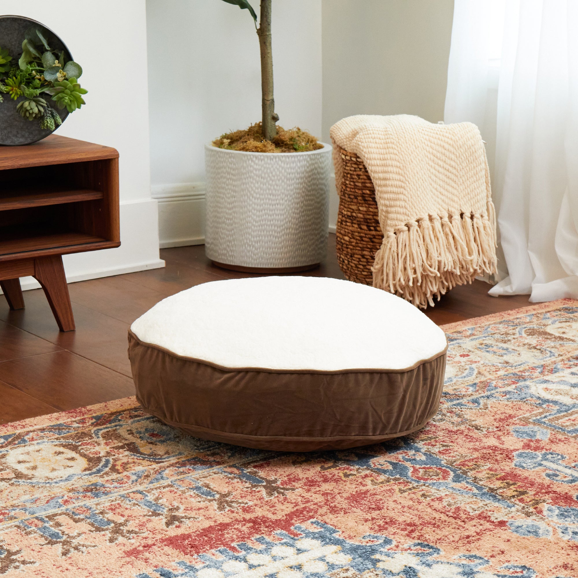 Happy Hounds Pet Products Scout Deluxe Round Dog Bed， Extra Small， 24