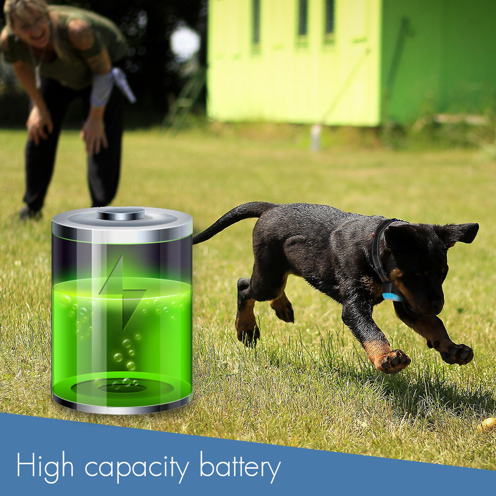 MASBRILL Electric Dog Fence， Underground Electric Dog Fence Rechargeable Dog Fence for Small Medium Large Dogs， 650 Ft Wire with 1 Collars