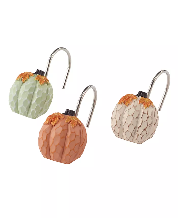 Avanti Grateful Patch Shower Hooks Set， 12 Piece