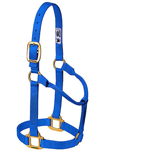Weaver Original Nylon Halter AVG Royal Blue