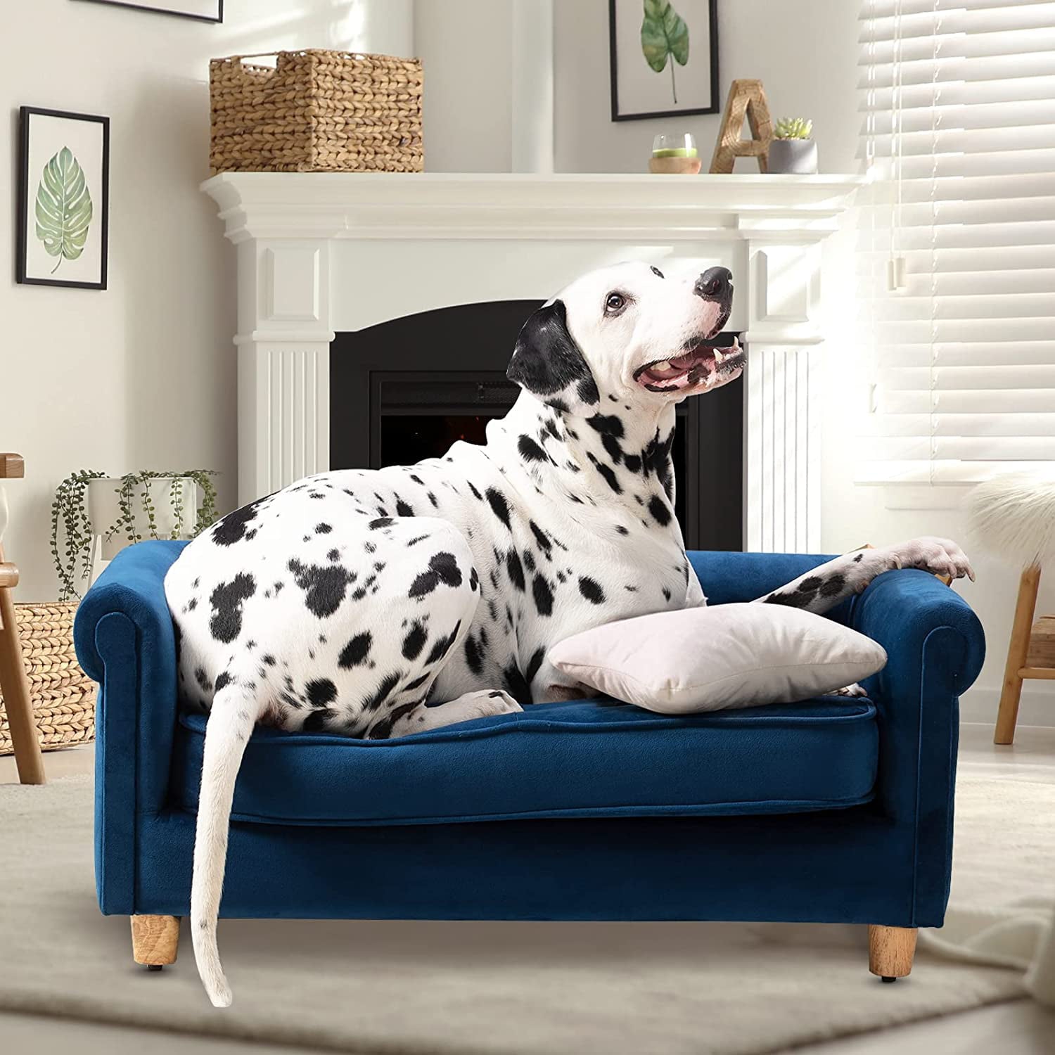 dCee Pet Sofa - Soft Pet Bed for Medium Pet， Comfort Sleep with Removable Cushion Cover， Navy