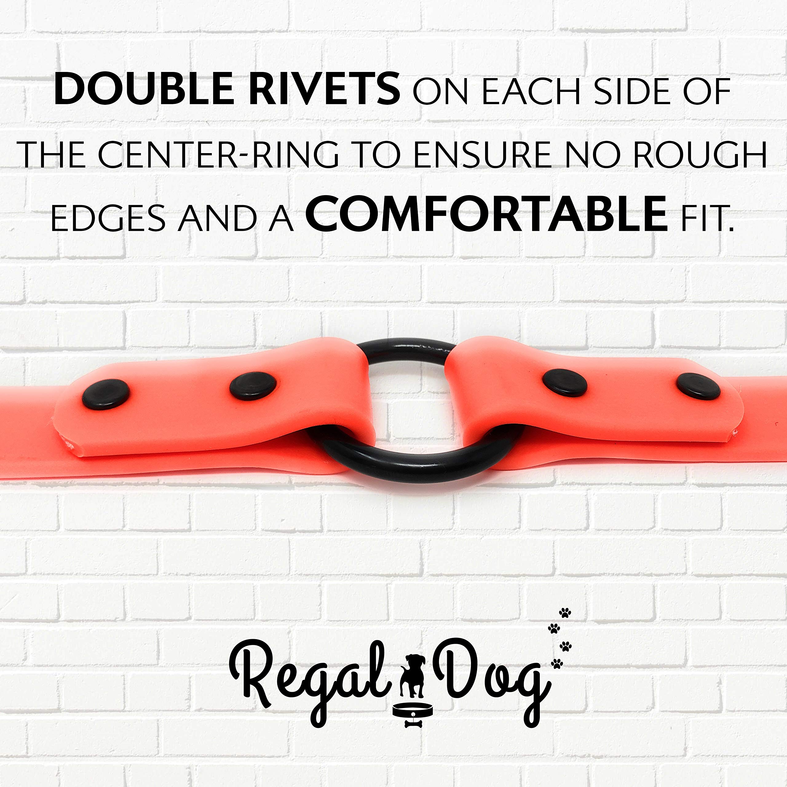 Regal Dog Products Reflective Waterproof Hunting Dog Collar with Heavy Duty Black Hardware Center Ring and Buckle