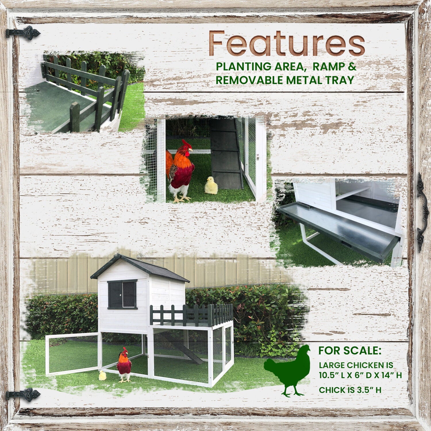 Hanover Elevated Wooden Chicken Coop with Ramp， Planting Area， Wire Mesh Run， Waterproof Roof， 4.25 Ft. x 4 Ft. x 4.2 Ft.