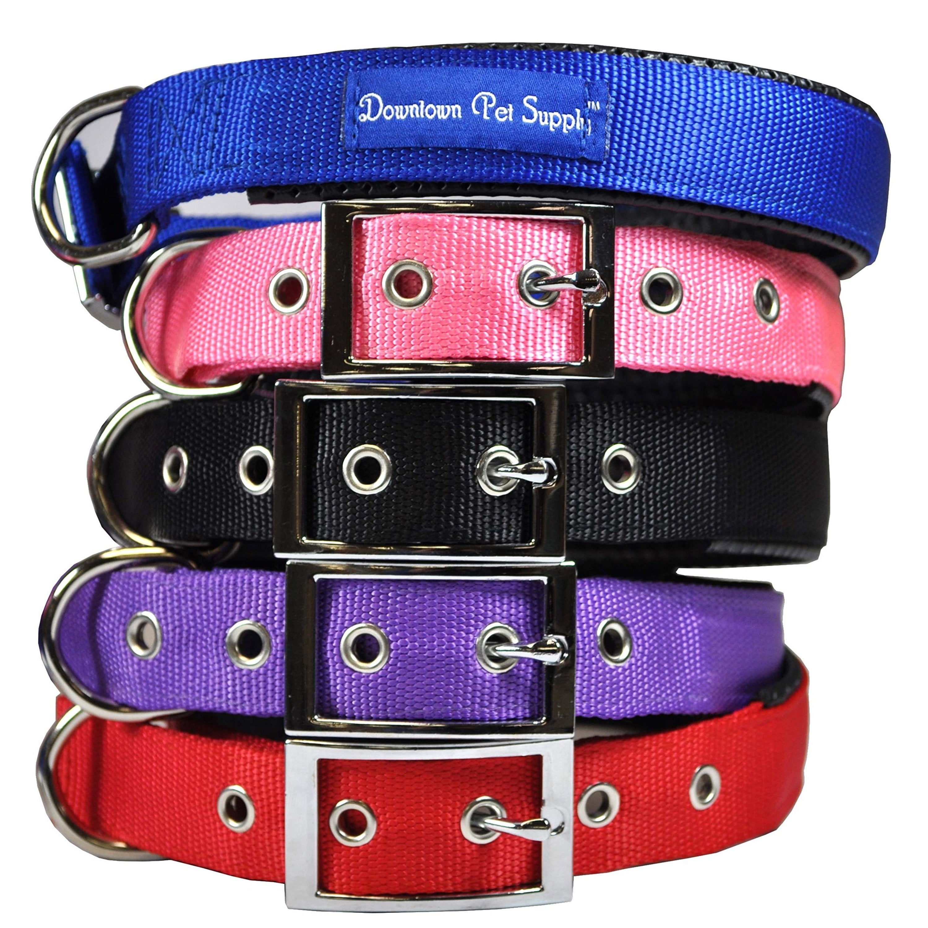 Downtown Pet Supply Dog Collars for Small Dogs Padded Dog Collar Black， S