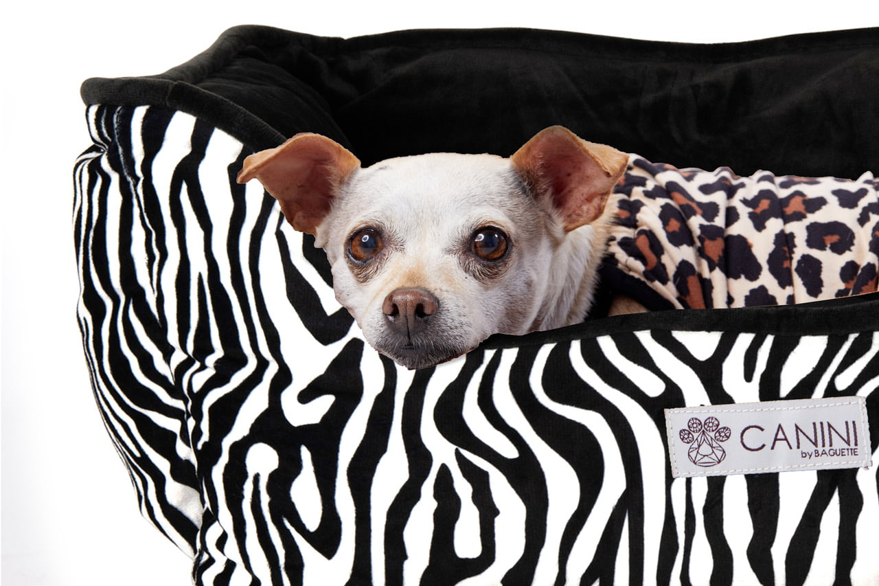 CANINI by Baguette Reversible Micro-Plush Dog Bed for Small-Sized Breeds， Zebra Print