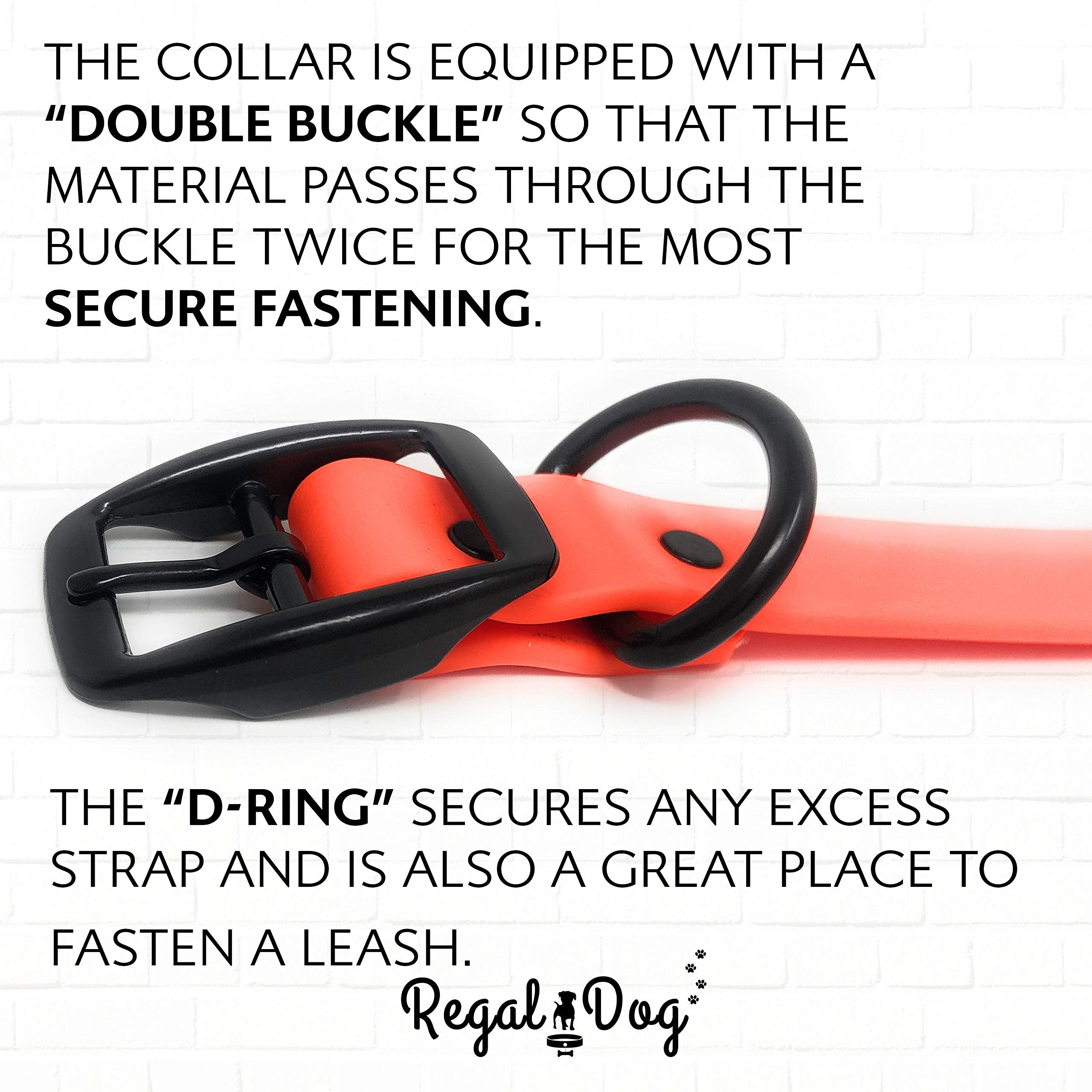 Regal Dog Products Reflective Waterproof Hunting Dog Collar with Heavy Duty Black Hardware Center Ring and Buckle