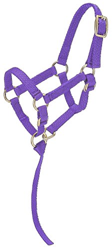 Tough1 Miniature Nylon Halter Lg Purple