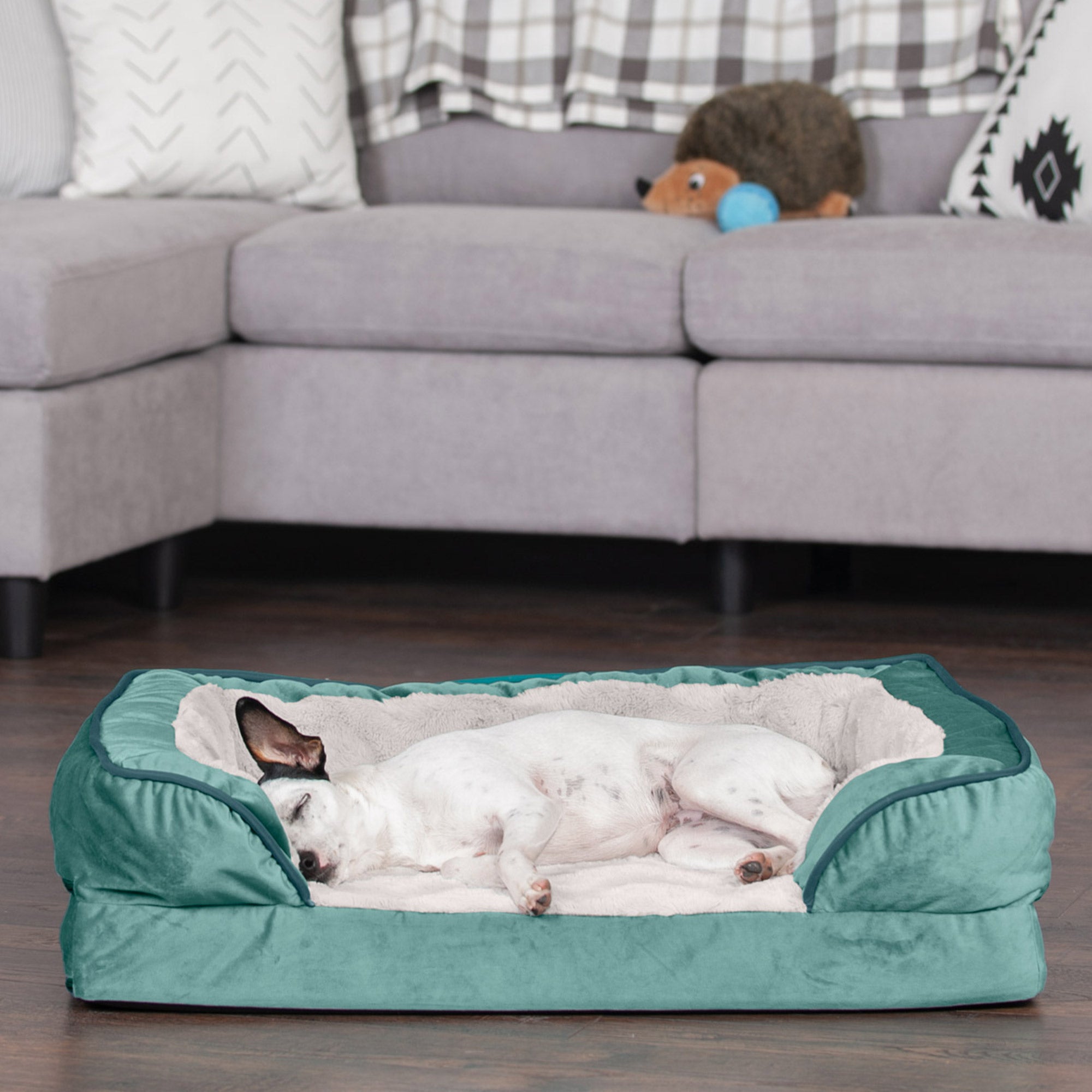 FurHaven Pet Products | Full Support Orthopedic Perfect Comfort Velvet Waves Sofa Pet Bed Dogs and Cats - Celadon Green， Medium