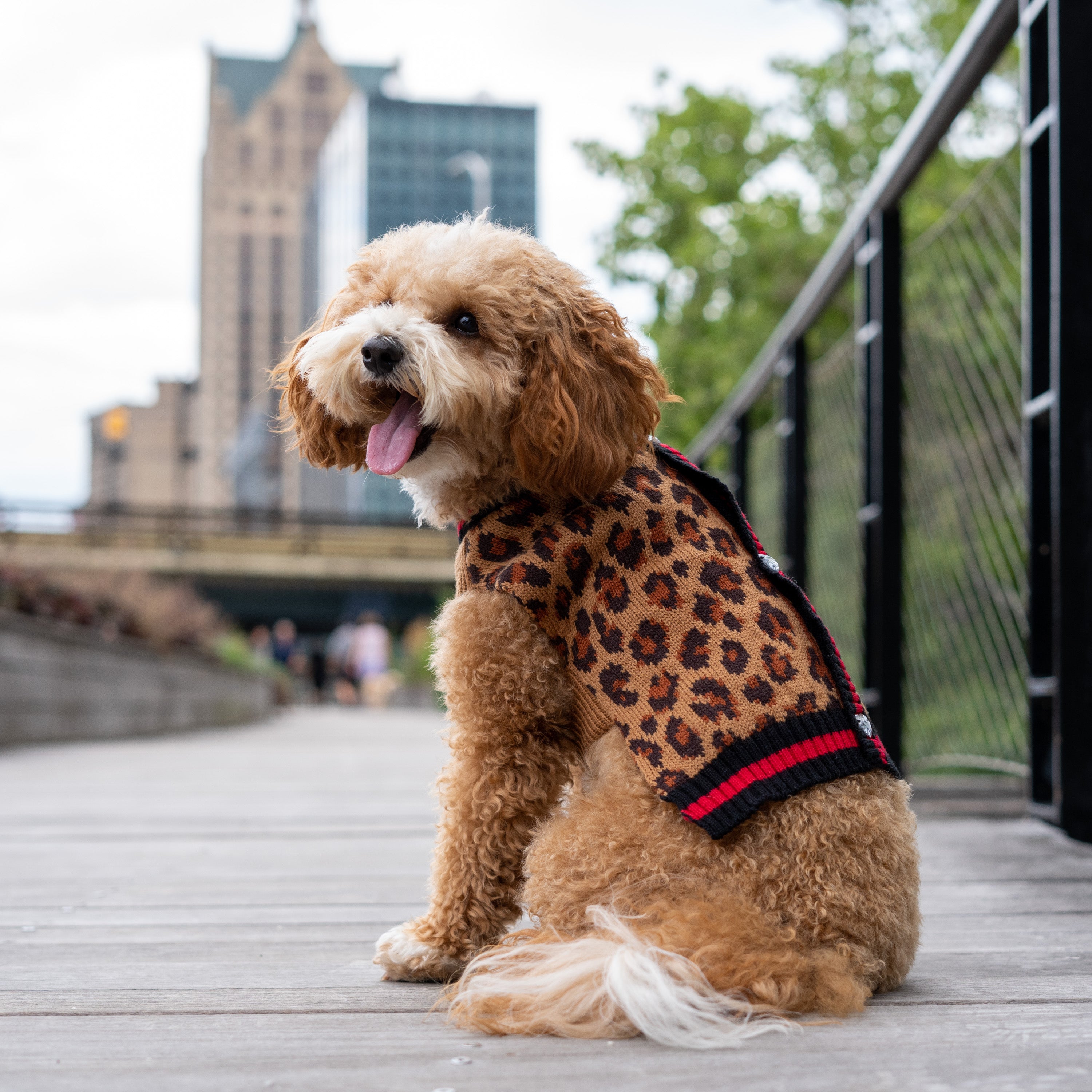 Christian Siriano， Dog Clothes， Animal Print Dog or Cat Sweater， Multi-Colored， XS