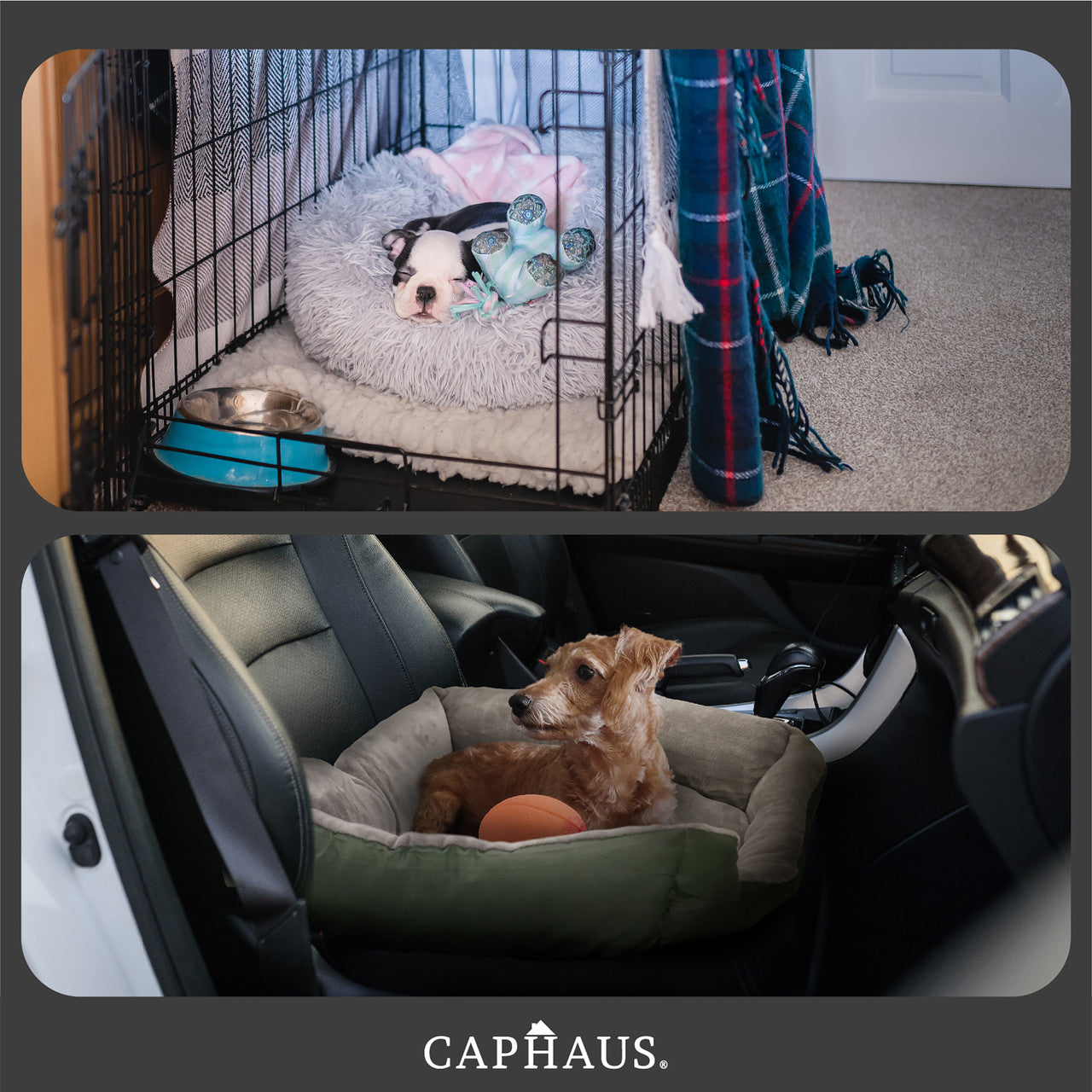 CAPHAUS 32/37 Inch Dog Bolster Couch Bed for Small/Medium/Large Dogs， Orthopedic Cat Bed for Indoor Cats， Calming， Anti-Slip Bottom， Washable， Anti-Anxiety Fluffy Soft Pet Bed in Blue， Brown， Gray