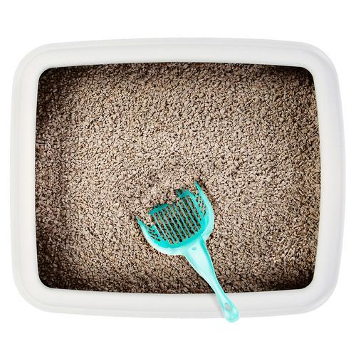 BrybellyHoldings ACSP-002 Turquoise Cat Litter Scoop With Reinforced Comfort Handle