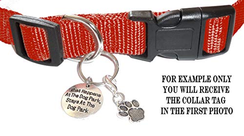 Hidden Hollow Beads Custom Pet Dog and Cat Tags， Funny Cute Sayings for Your Pet's Collar. For Pet Lovers. (What Happens at The Dog Park， Stays at The)
