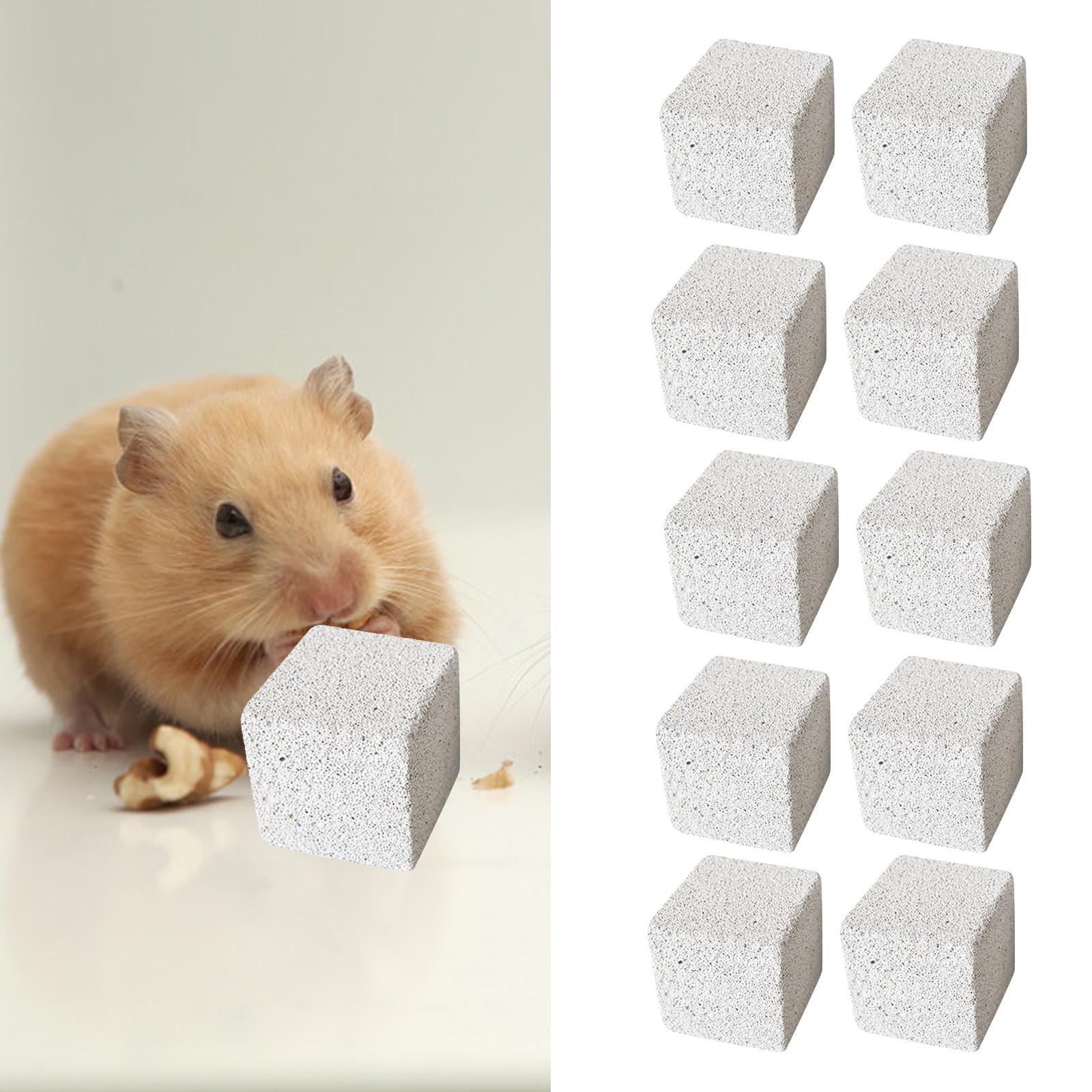 Set of 10 Stone Square Hamster Grinding Pet Supplies Grinding Chewing Toy Rodent Play Indoor Pet Playing Chew Toy Rat 3cm