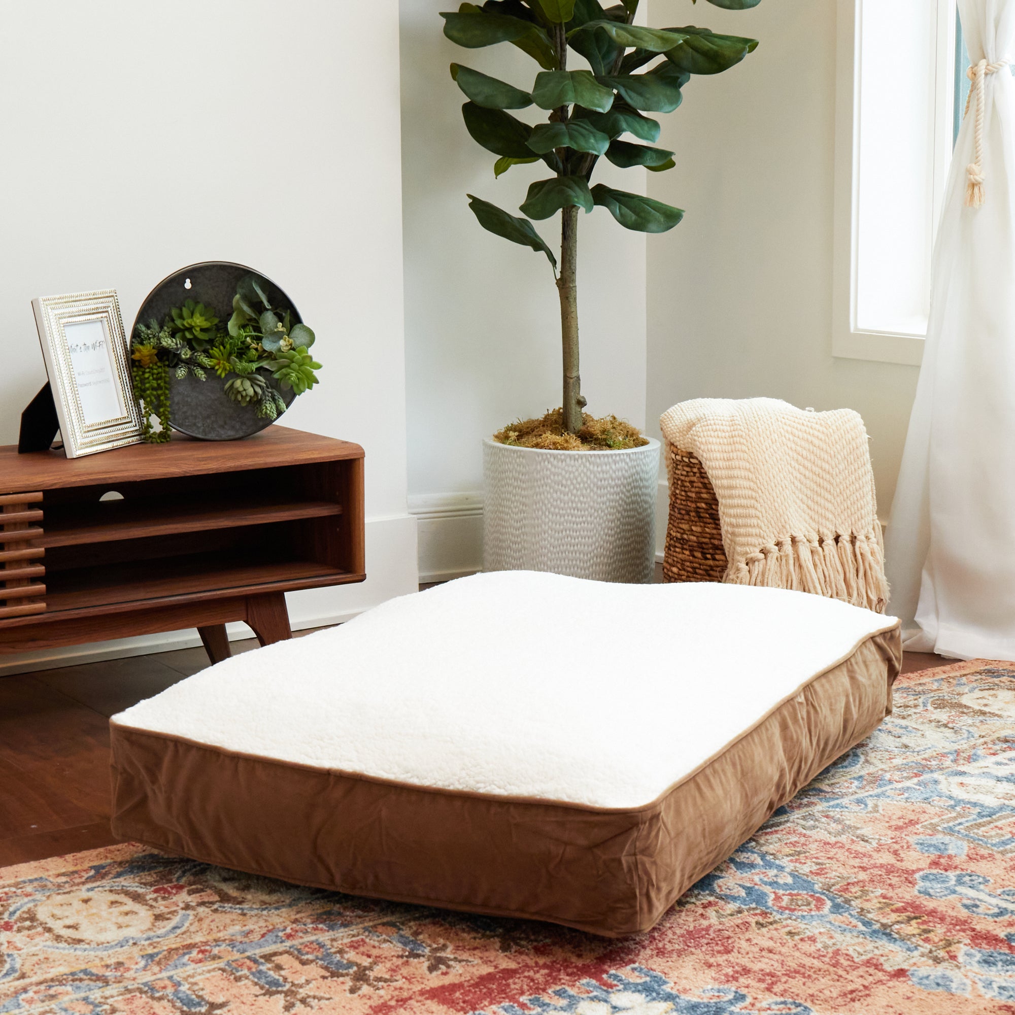 Happy Hounds Buster Sherpa Rectangle Pillow Style Dog Bed， Latte， Medium (42 x 30 in.)