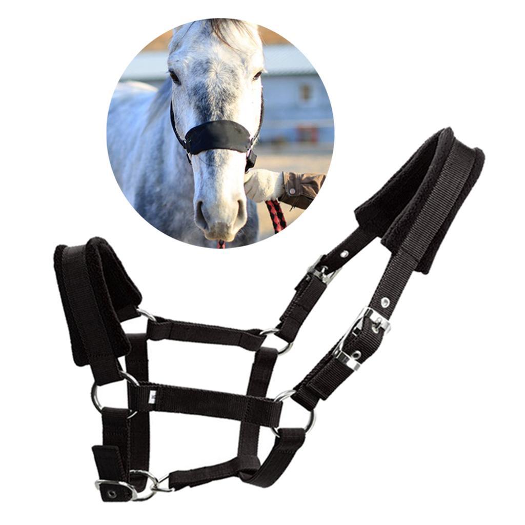 Adjustable Thicken Horse Halter Padded Bridle Rein Headstall Head Collar Strap