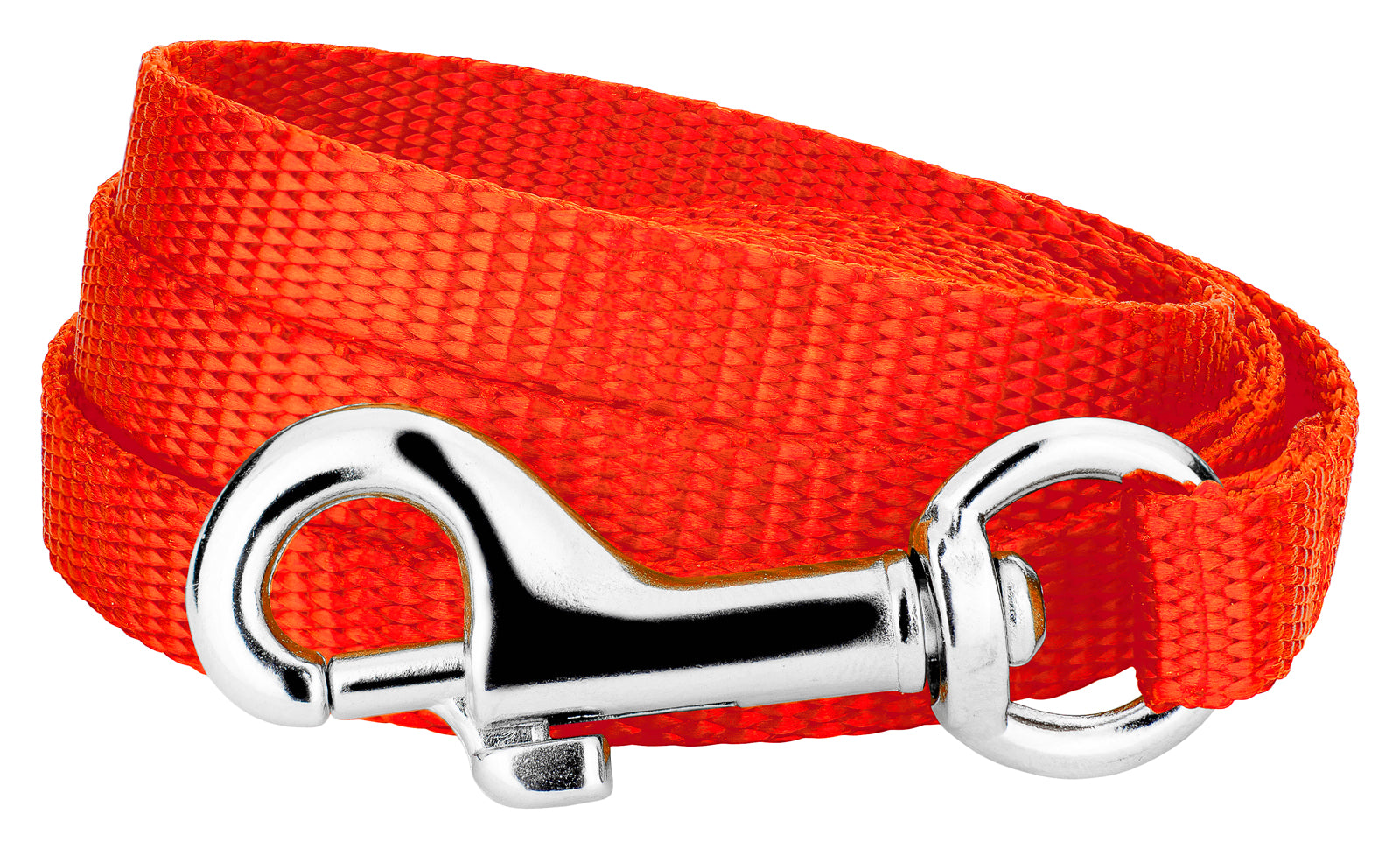 Country Brook Petz®  3/8 inch Nylon Dog Leash - Hot Orange， 6 Foot