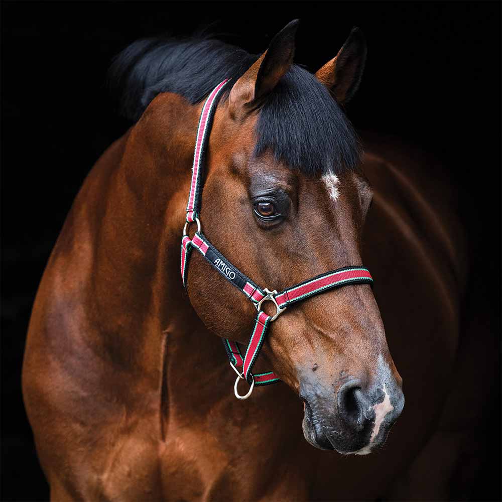 Amigo Padded Nylon Halter - Closeout， Red (Green/White/Black Trim)， Size: Horse