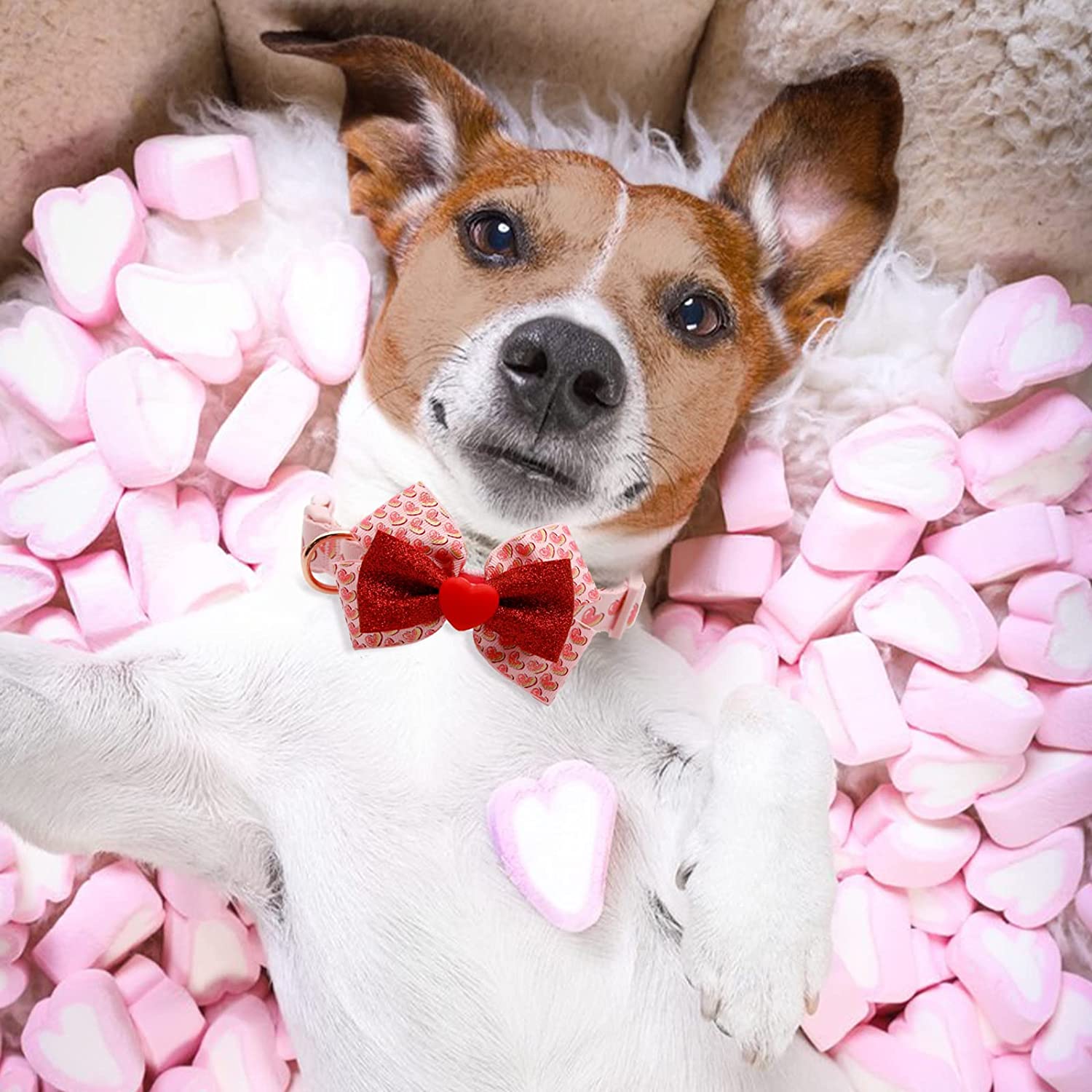 Dog Collar Bow Tie Soft Adjustable Bow tie Dog Collars for Small Dogs