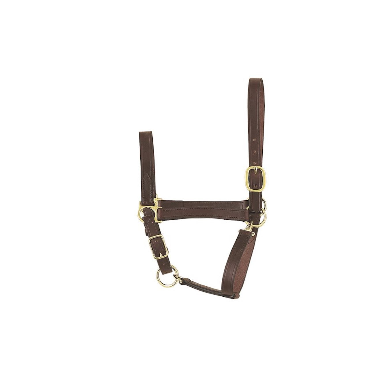 Perri's Economy Leather Halter (Havana， Yearling)