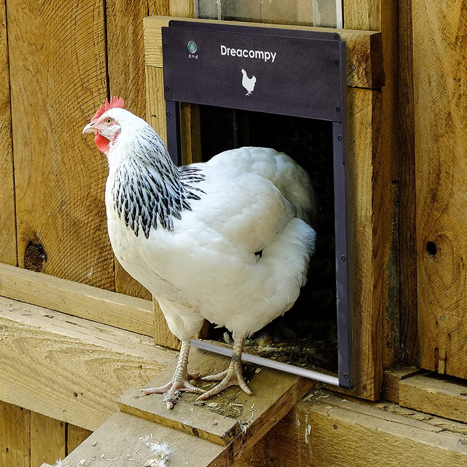 Dreacompy Automatic Chicken Coop Door Solar Powered All Aluminum Alloy Roller Blind Design Anti-Pinch Program Manual Switch Light Sensor， D50 Brown