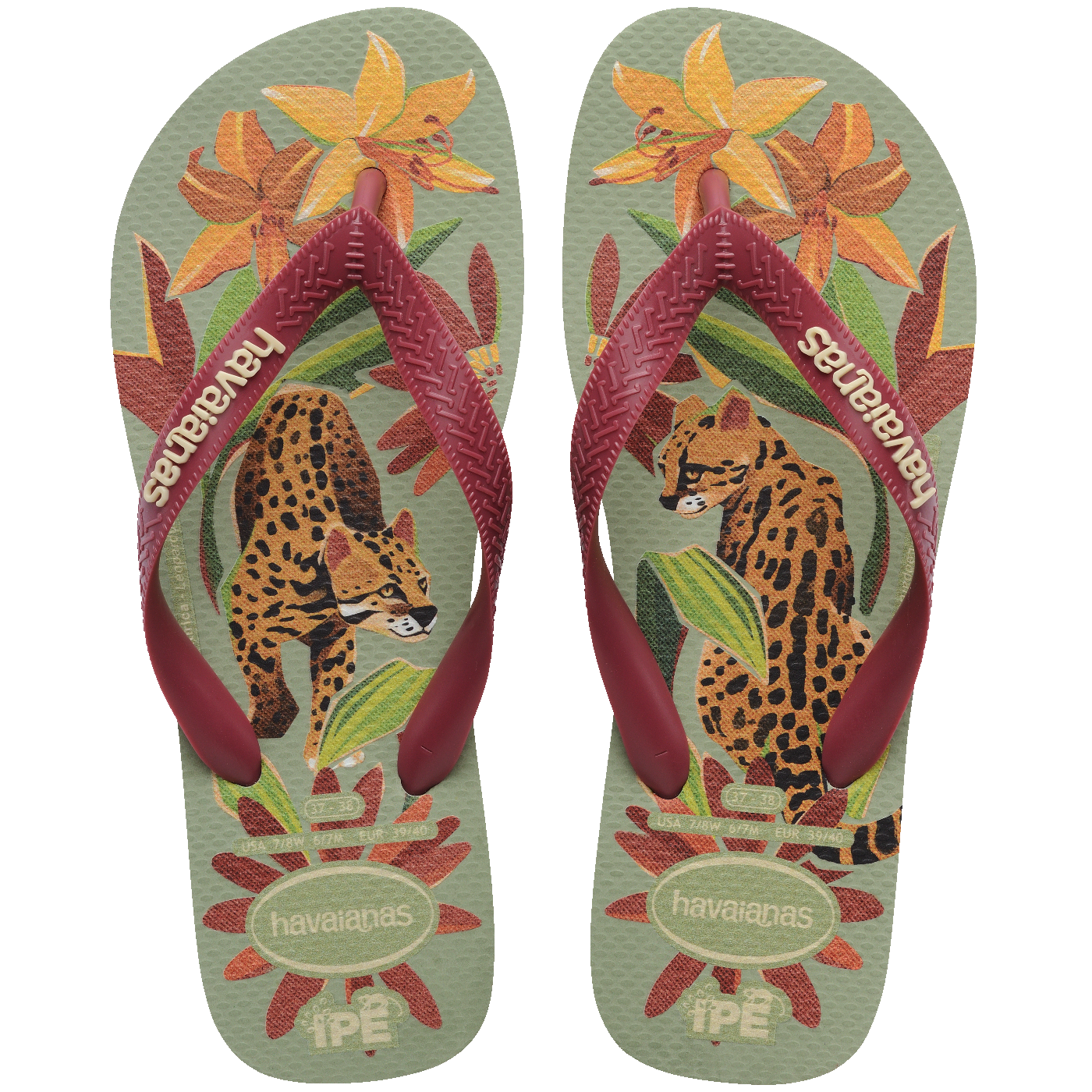Chinelo Havaianas Ipê