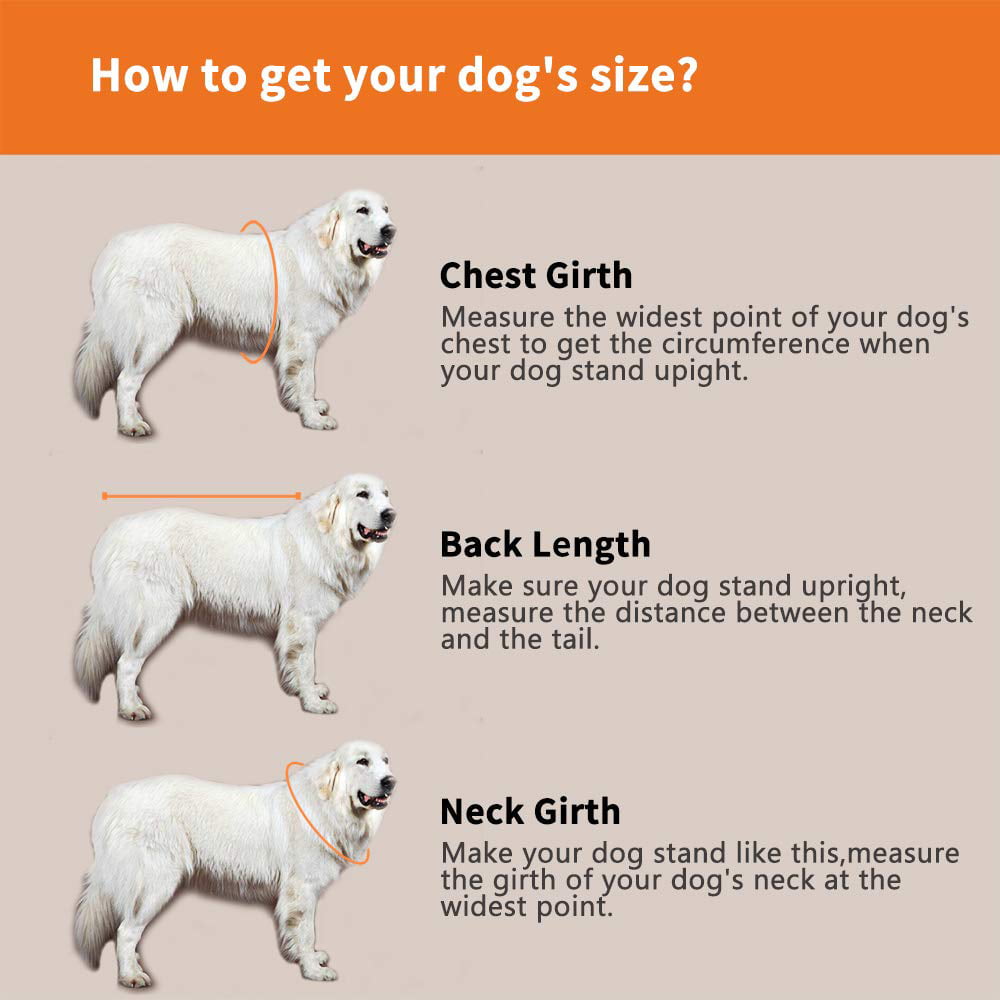 Coloody Dog Life Jacket Safety Swimsuit with Reflective Stripes for Doggie