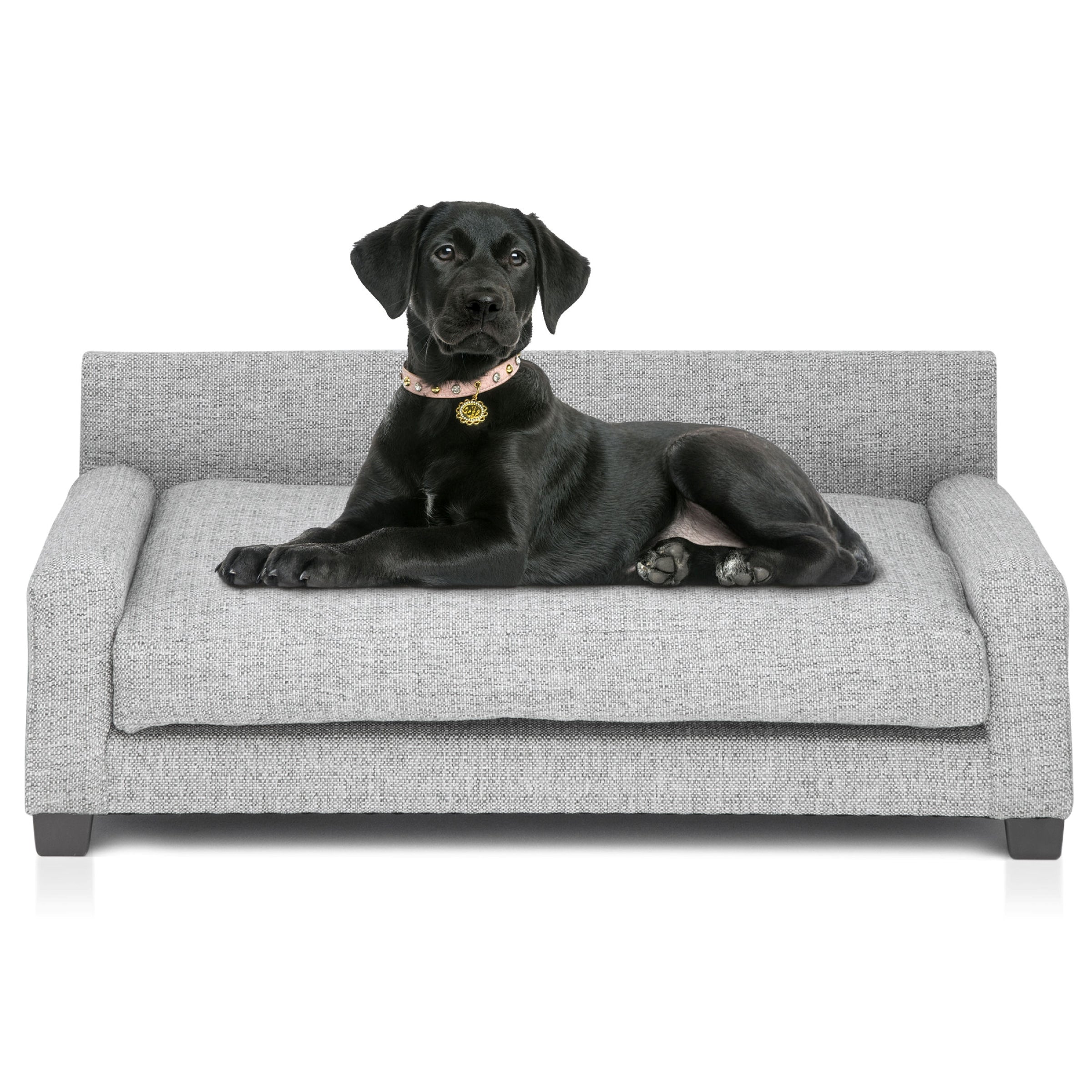 Club Nine Pets Metro Orthopedic Dog Bed， Medium， Metal.