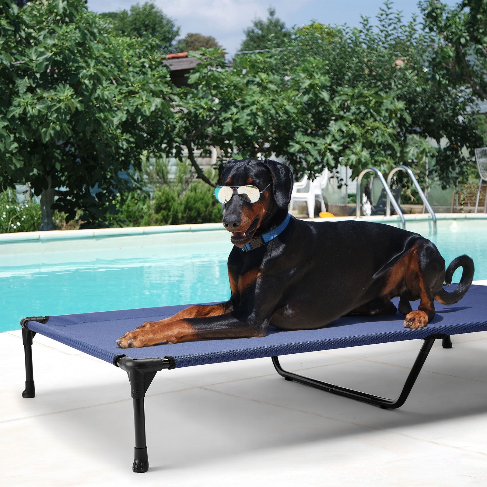 Veehoo Cooling Elevated Dog Bed， Portable Raised Pet Cot with Washable Mesh， XX-Large， Blue